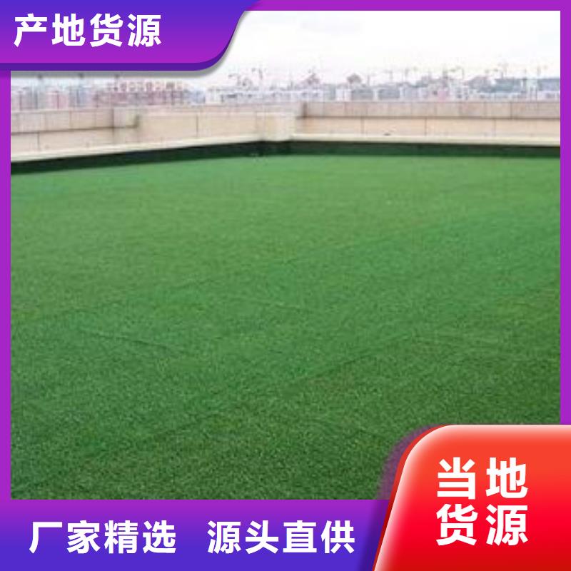 透水路面工程