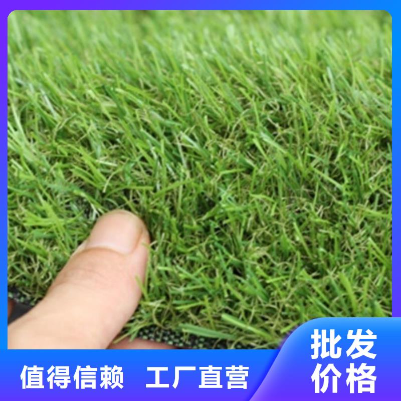 人造草坪室外塑胶跑道大品牌值得信赖