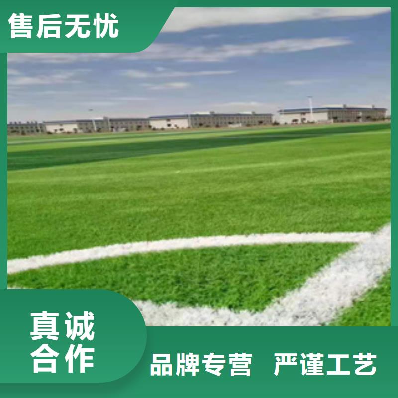 人造草坪室外塑胶跑道大品牌值得信赖