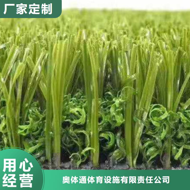 人造草坪室外塑胶跑道大品牌值得信赖