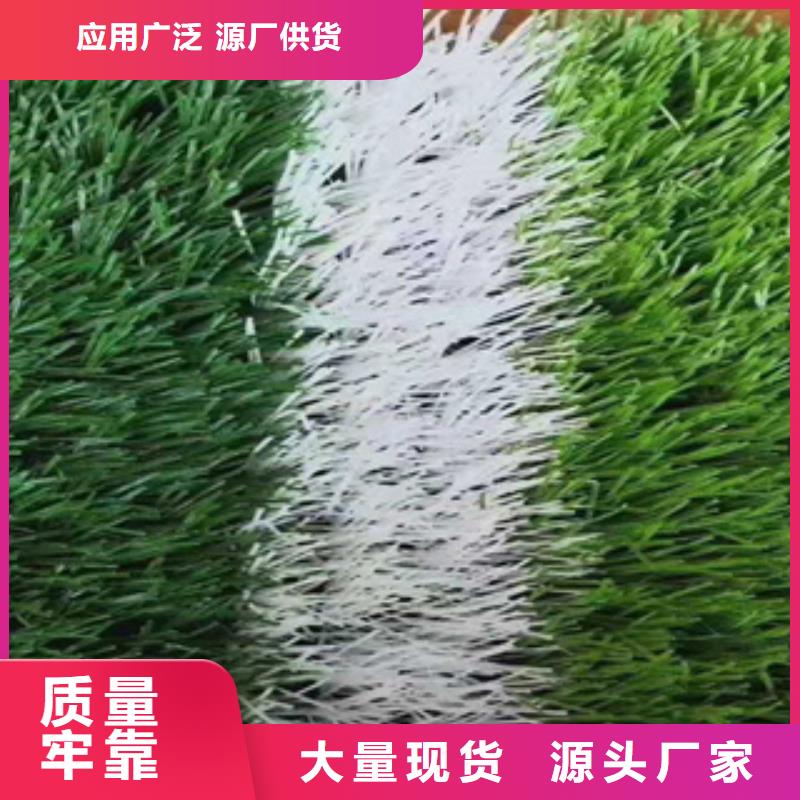 人造草坪室外塑胶跑道大品牌值得信赖