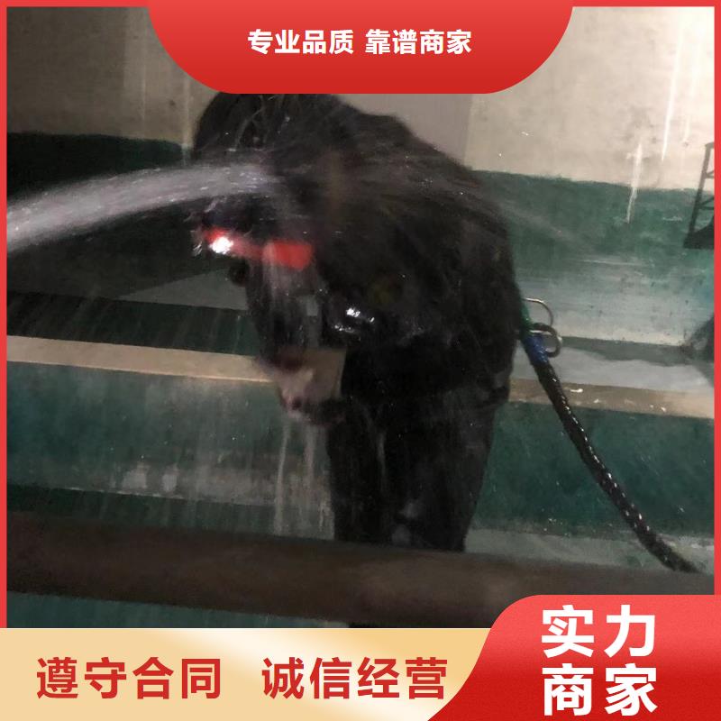 水下应急抢险品牌-厂家