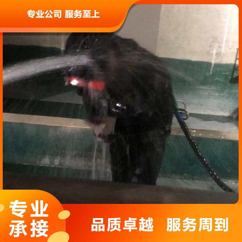 水下检测24小时响应