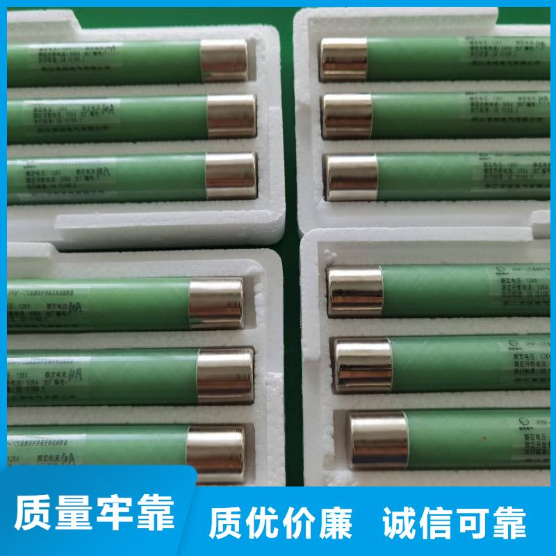 变压器保护用高压限流熔断器XRNT1-7.2KV/16A厂家直销