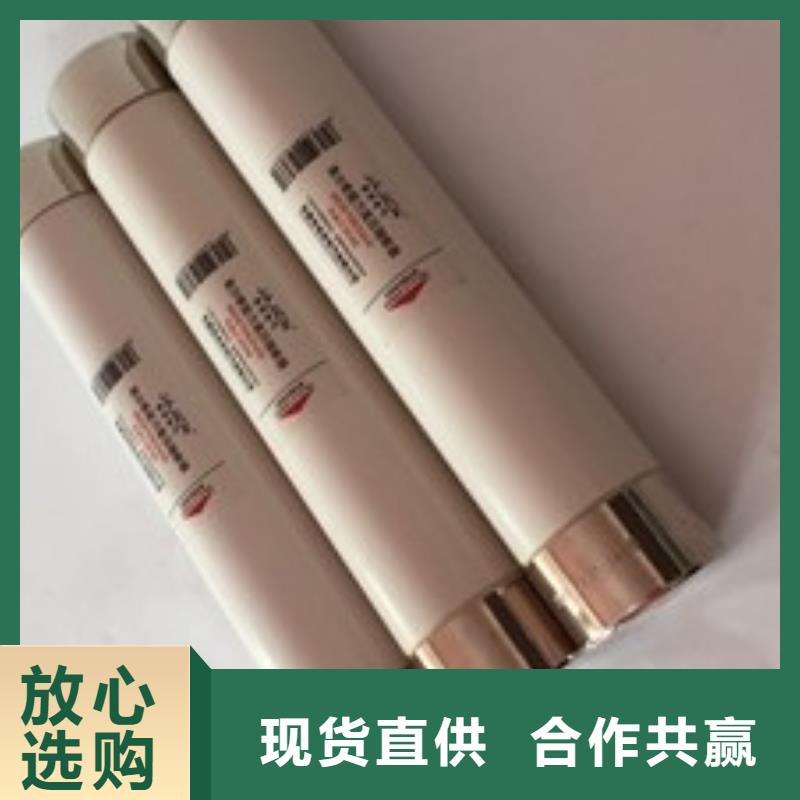 保护电压互感器用高压限流熔断器XRNP1-35/1A