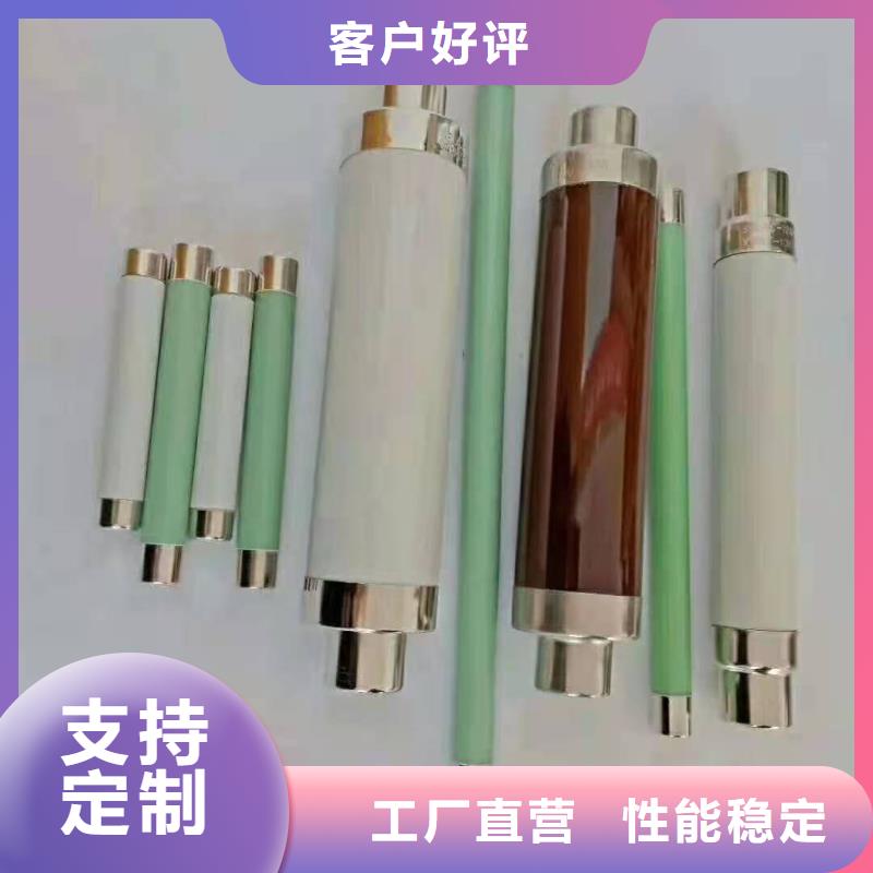 保护电压互感器用高压限流熔断器XRNP1-35/1A