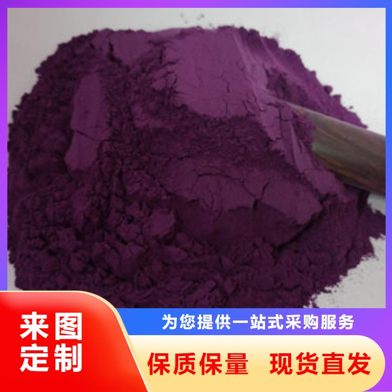 紫薯粉-【羽衣甘蓝粉】厂家直销值得选择