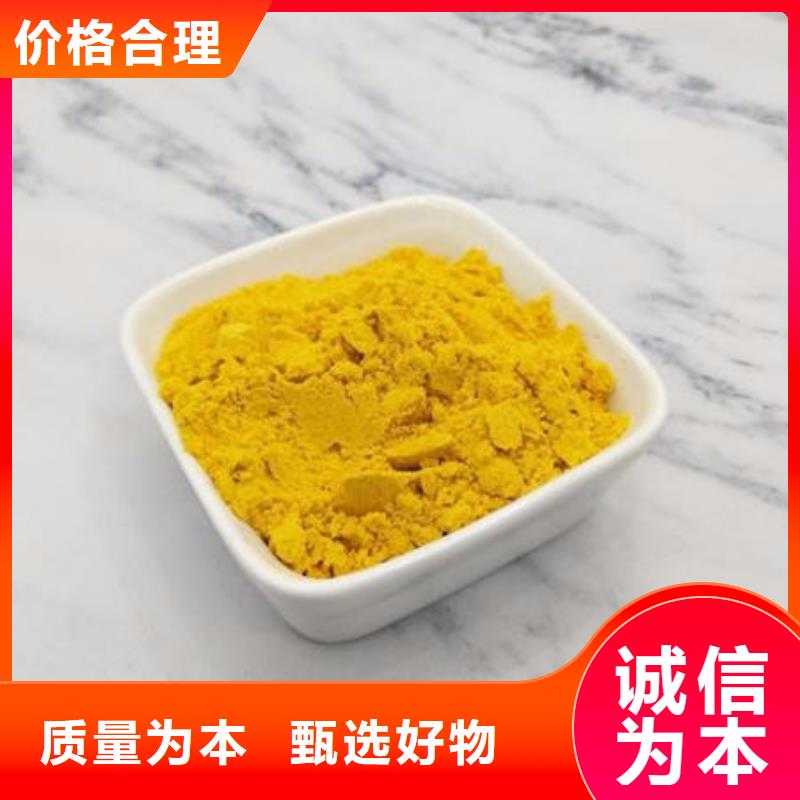 南瓜全粉服务为先