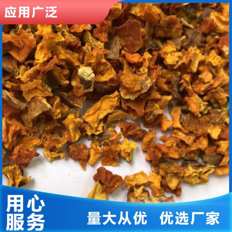 南瓜丁【南瓜粉厂家】品牌大厂家同城制造商