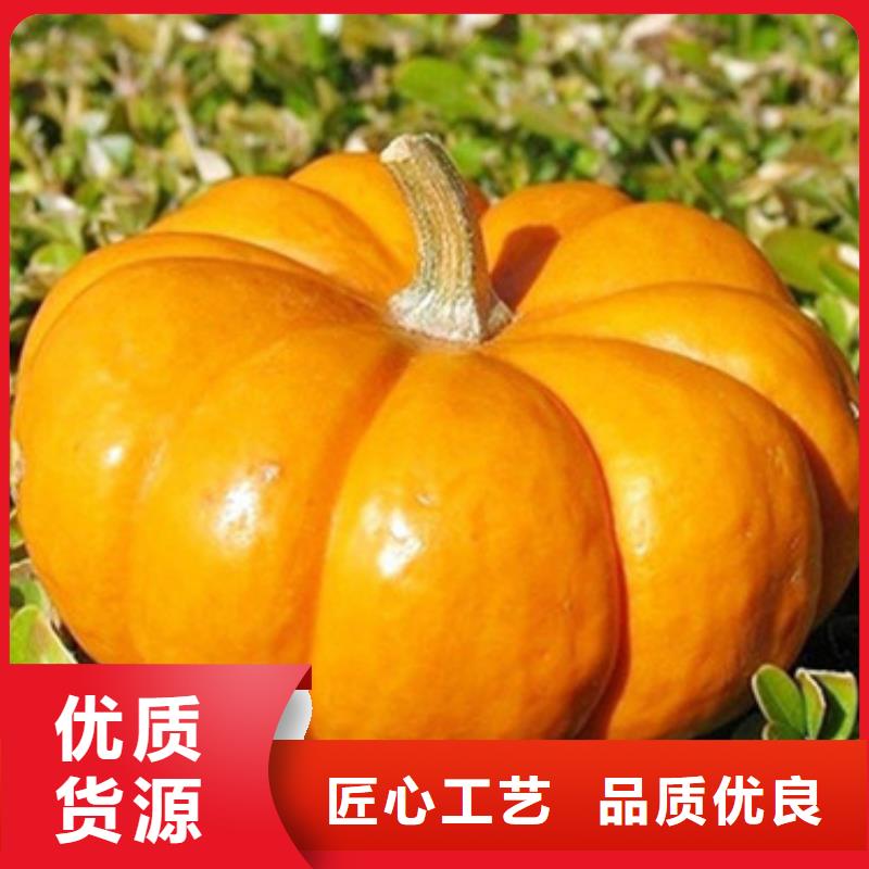 无皮南瓜丁厂家报价