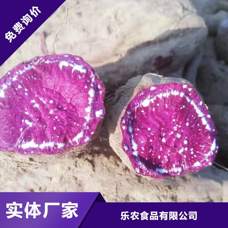 紫薯苗羽衣甘蓝粉品牌大厂家
