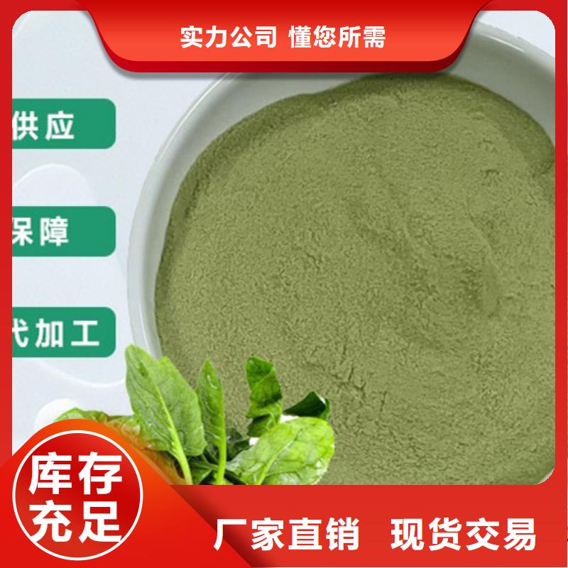 东方市菠菜生粉厂家供应
