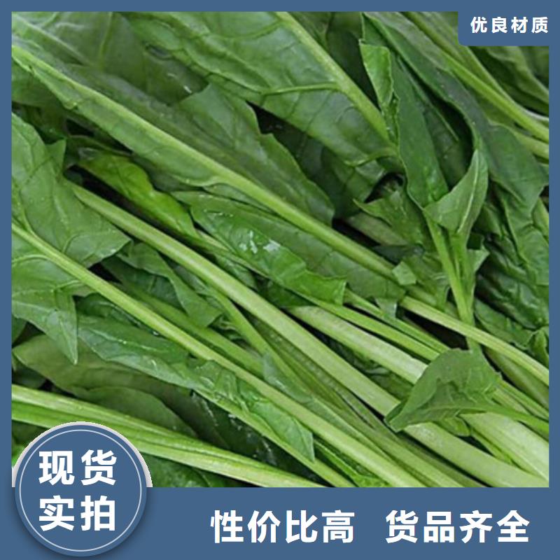 临高县菠菜生粉来电咨询