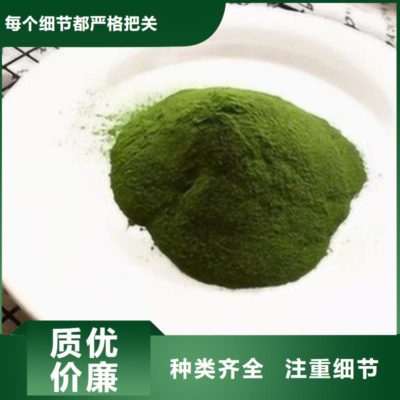 脱水菠菜粉发货及时