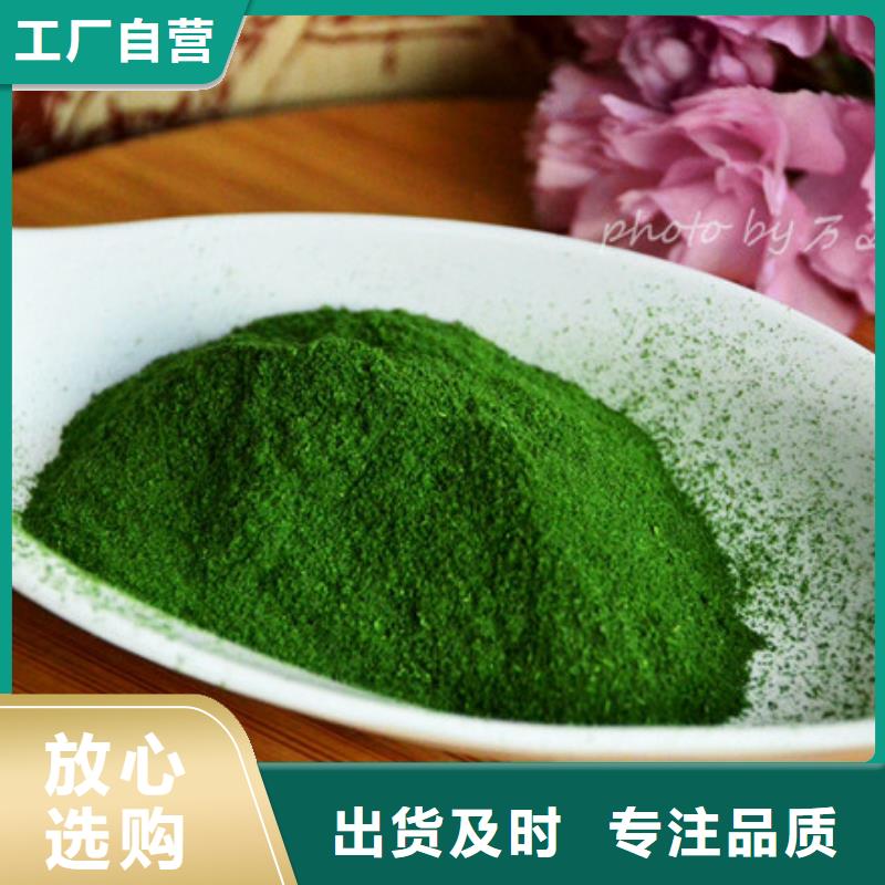 菠菜粉欢迎电询