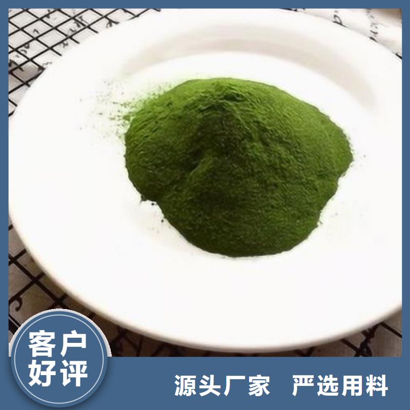 绿色菠菜粉产品质量优良