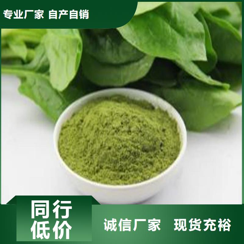 脱水菠菜粉货真价实