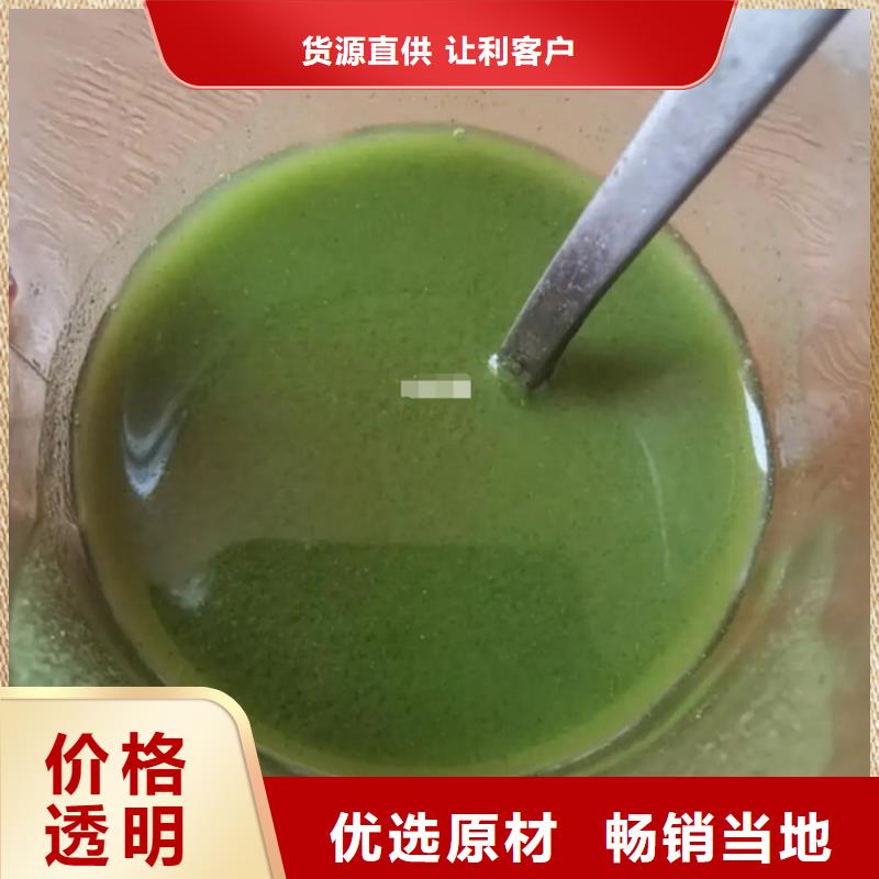 羽衣甘蓝公司-价格
