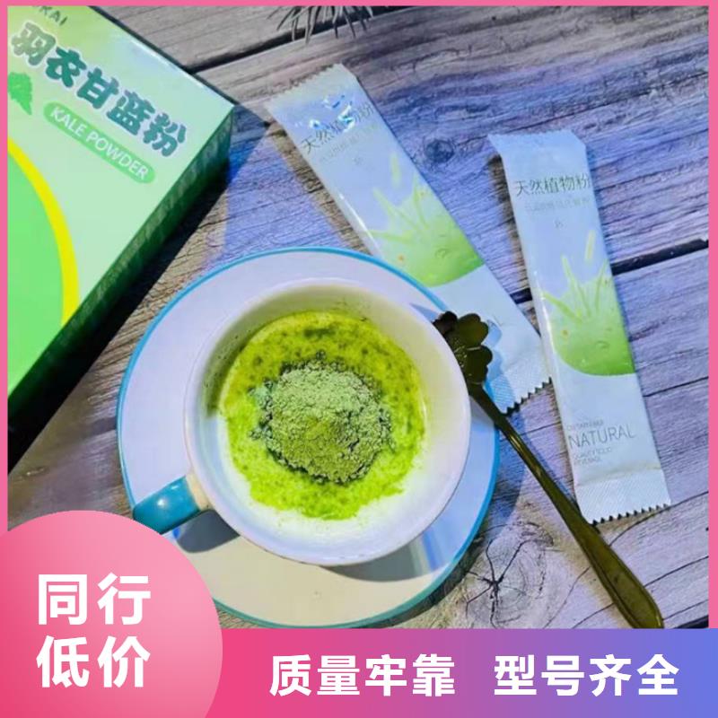 定制甘蓝粉_精选厂家