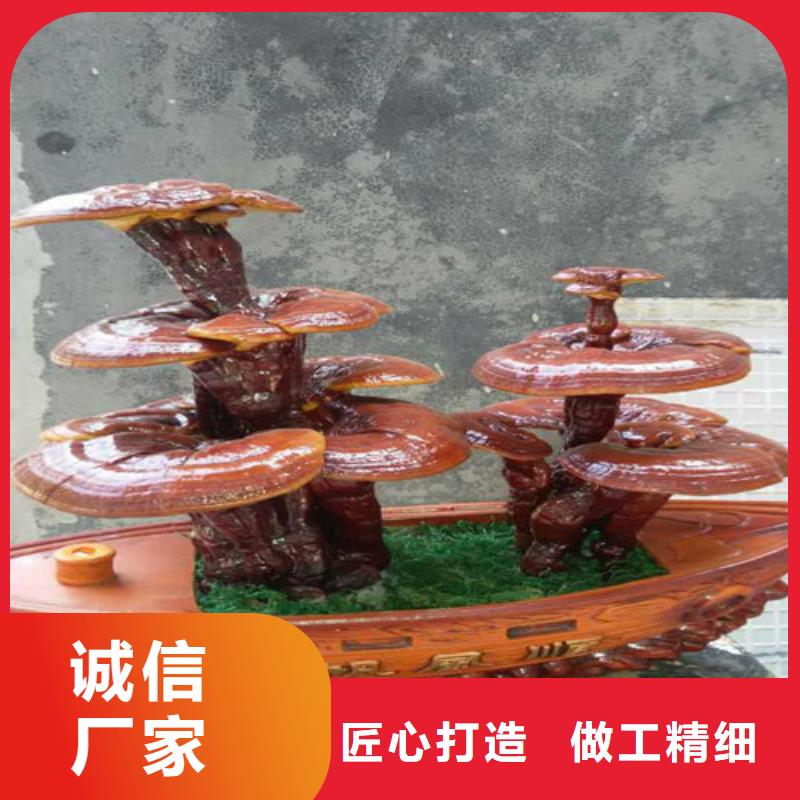 甄选：灵芝超微粉供应商
