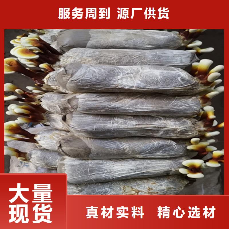 
灵芝粉厂家支持定制