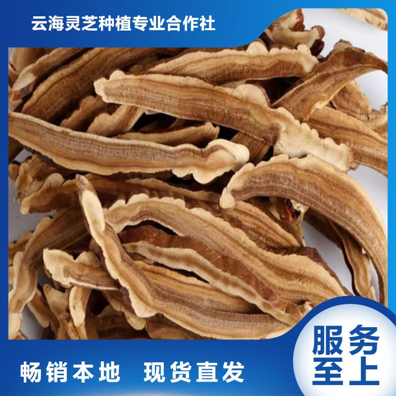生产
灵芝粉
的生产厂家