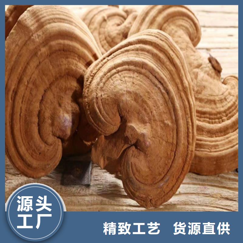 
灵芝超细粉-厂家货源欢迎咨询