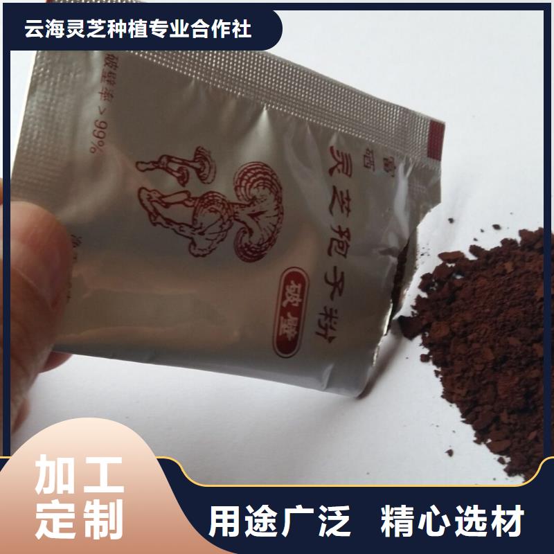 破壁灵芝孢子粉大规模厂家
