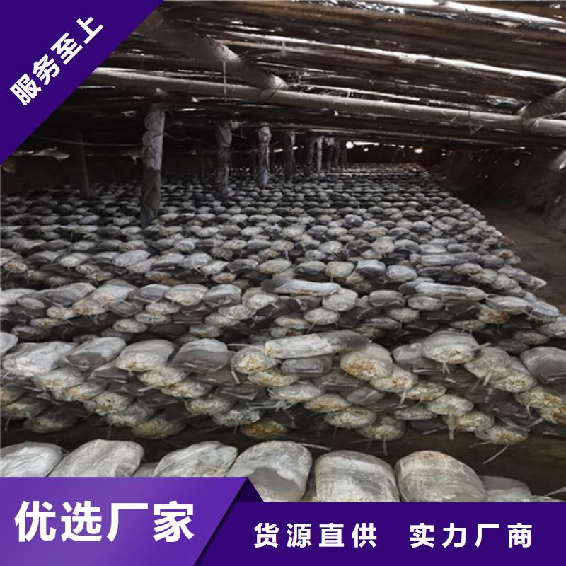 生产
灵芝粉
的生产厂家