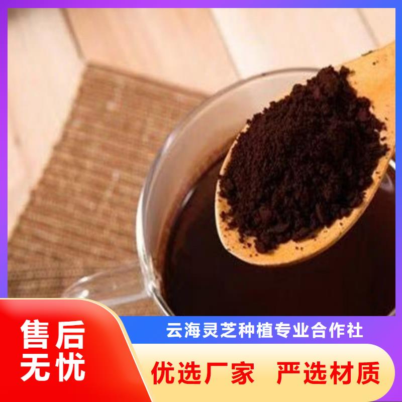 湿灵芝大量现货充足