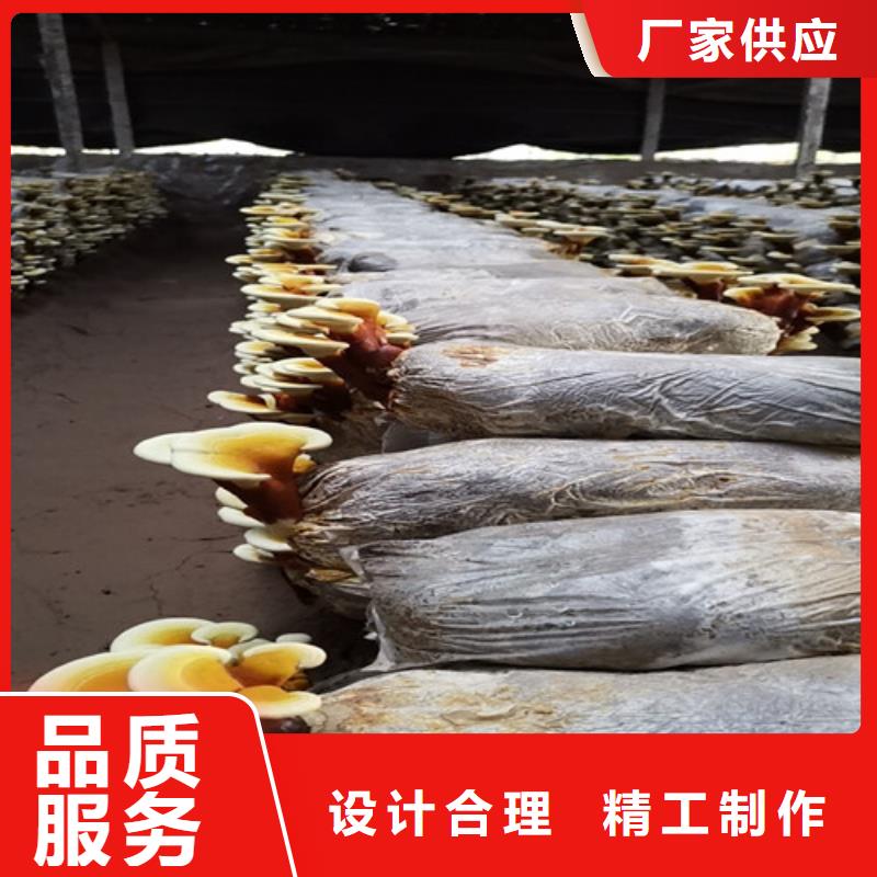 
灵芝粉多种规格