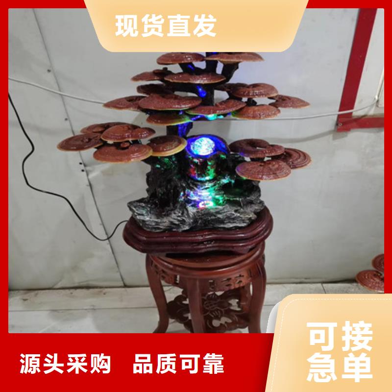 破壁灵芝孢子设计