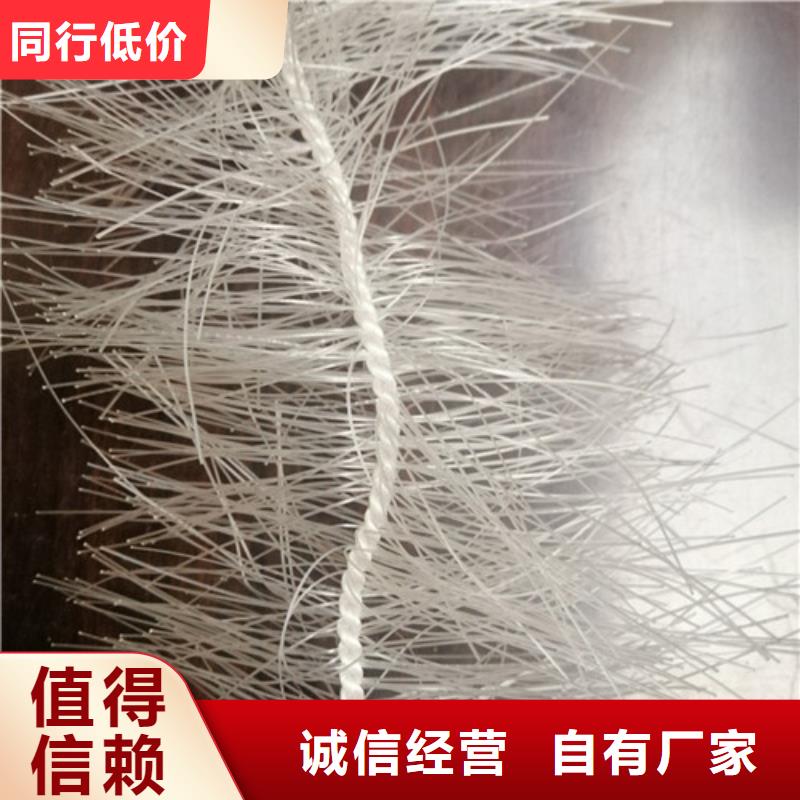 【 弹性填料-蜂窝斜管打造行业品质】|肥城|新泰|菏泽|枣庄|青岛|临沂|烟台k257.com