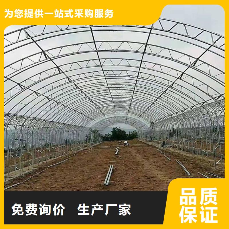 大棚管温室大棚管专注细节更放心