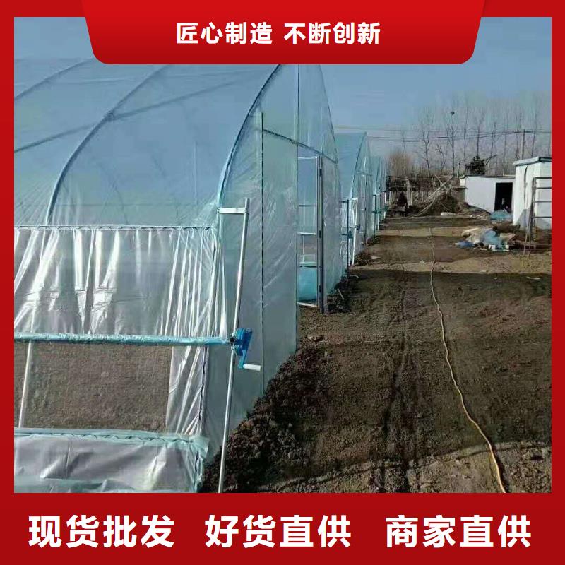 广东省深圳市南园街道825型大棚管热销品质保障2025