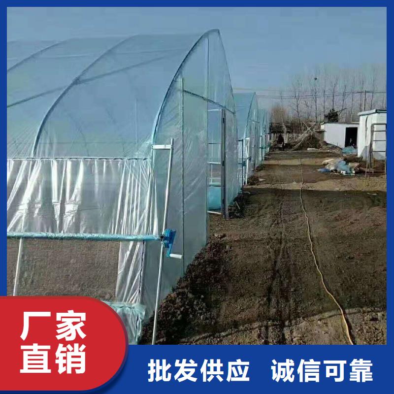 大棚钢管厂正规厂家