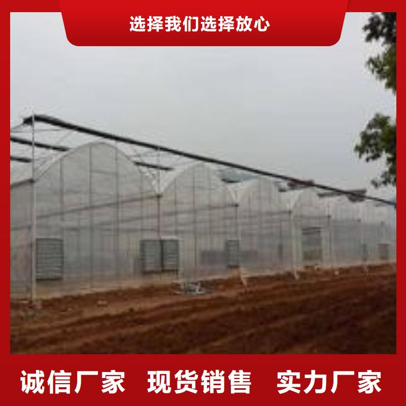 大棚管48小时发货