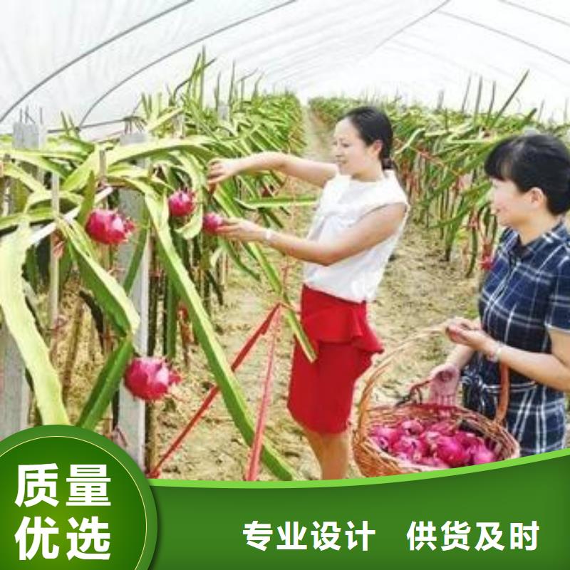大棚管,椭圆管温室大棚性能稳定