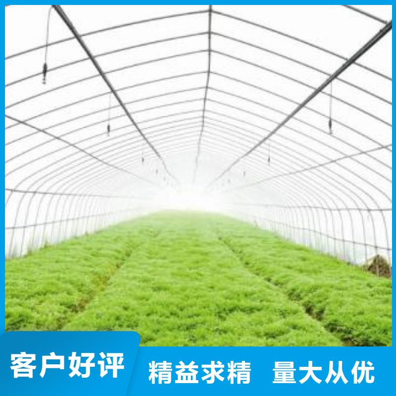 大棚专用管生产厂家