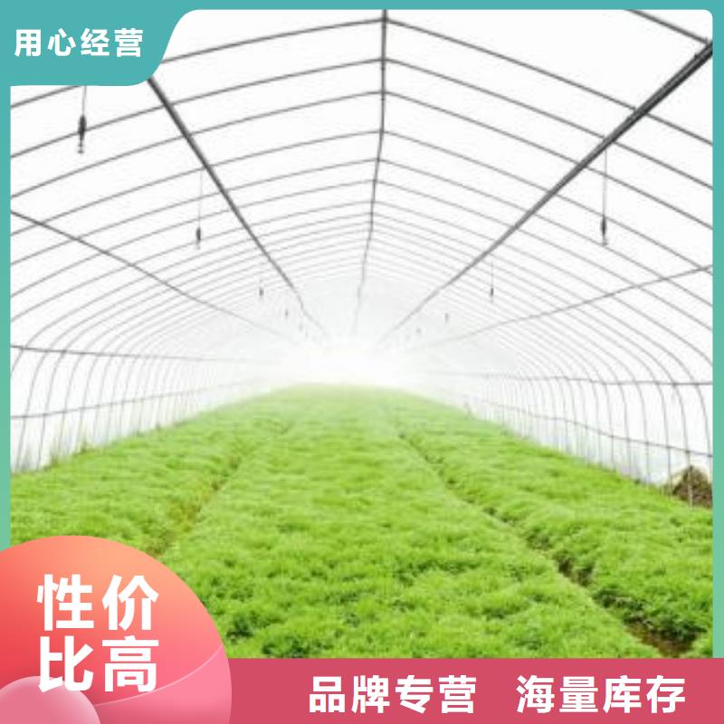 大棚6分镀锌管多重