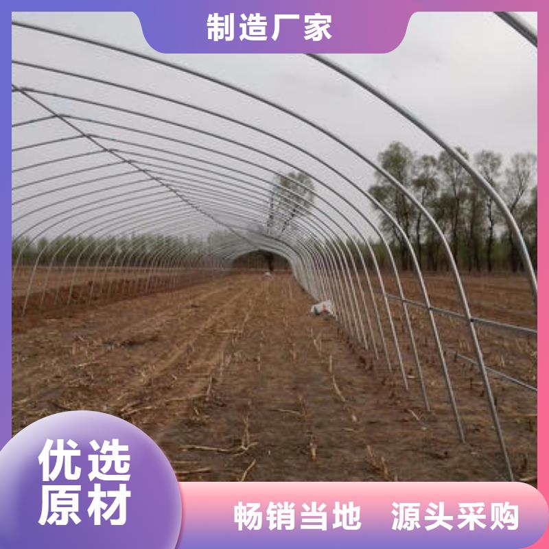 大棚钢管厂正规厂家