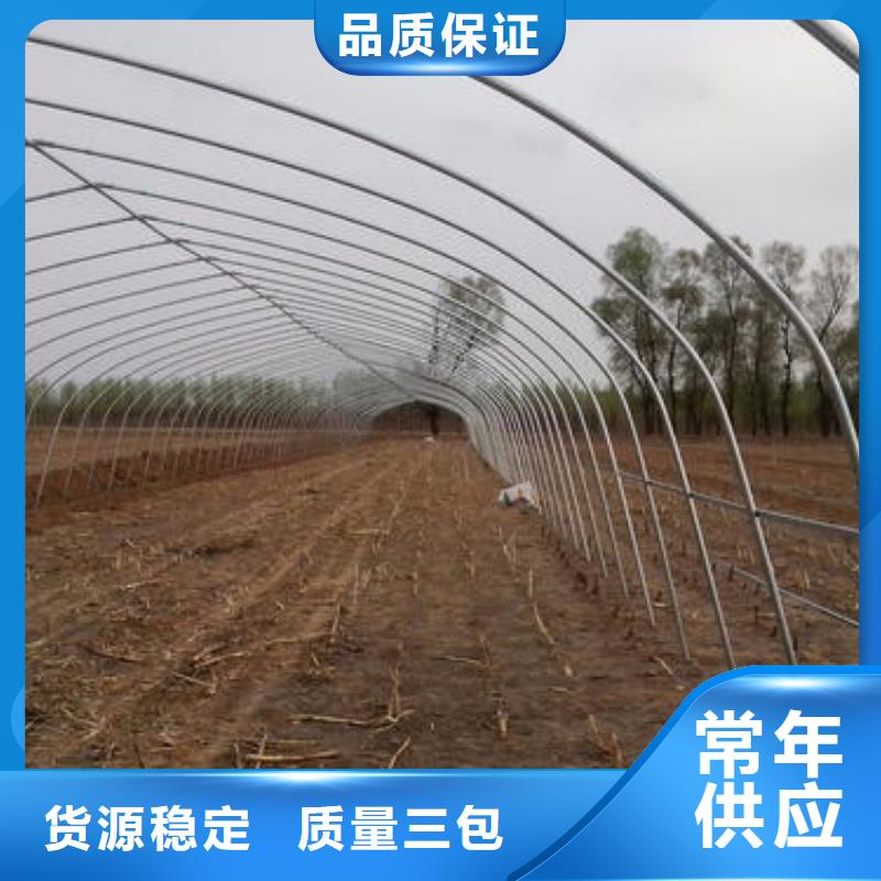 广东省深圳市南园街道825型大棚管热销品质保障2025
