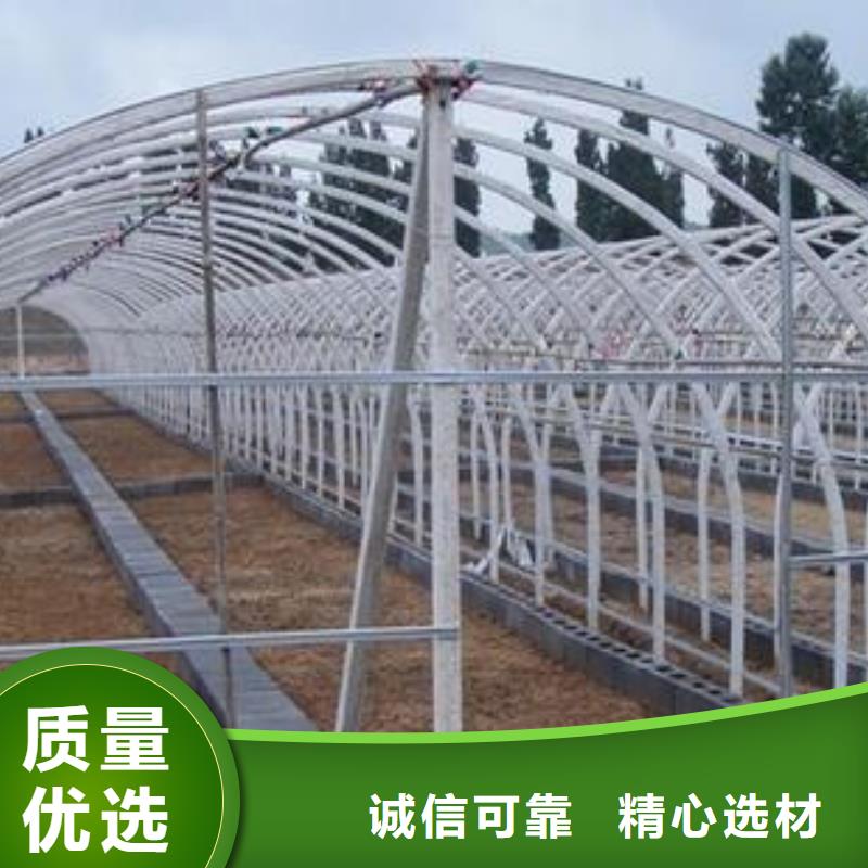 大棚管温室大棚管专注细节更放心