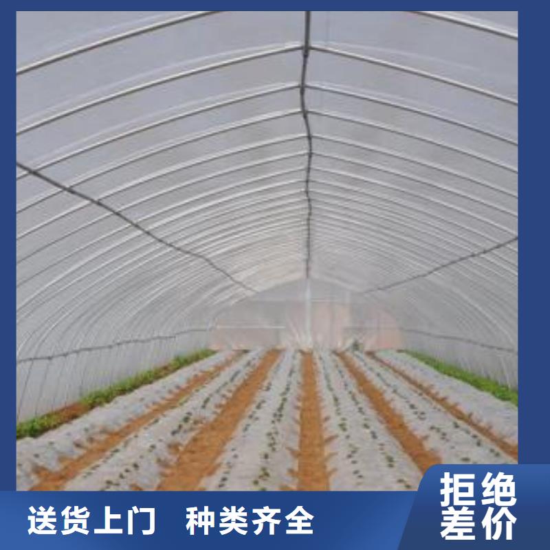 大棚管温室大棚管专注细节更放心
