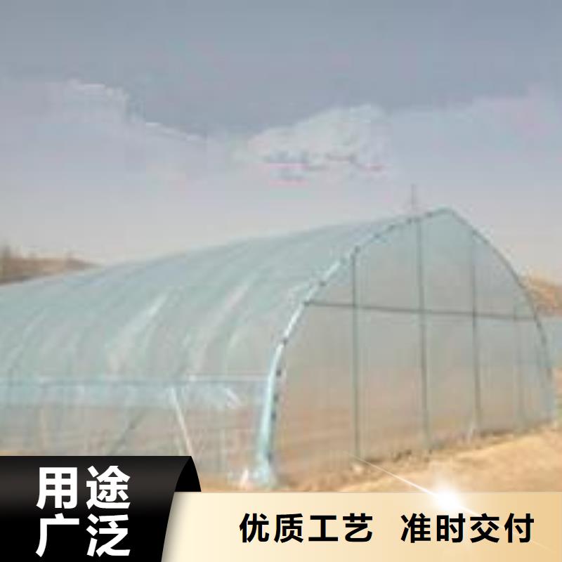 大棚管温室大棚管专注细节更放心