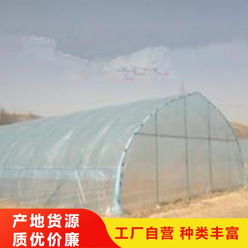 大棚管48小时发货