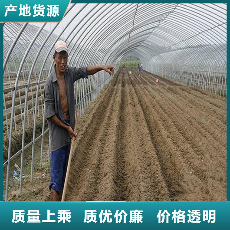 大棚6分镀锌管多重