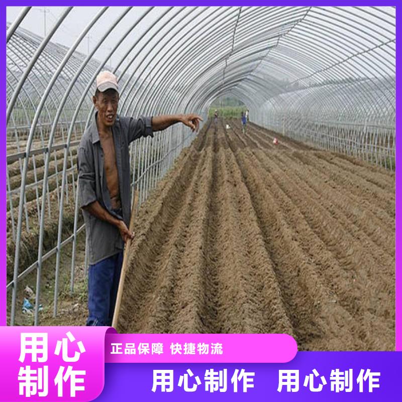 大棚管温室大棚管专注细节更放心