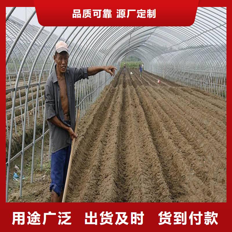 大棚管48小时发货