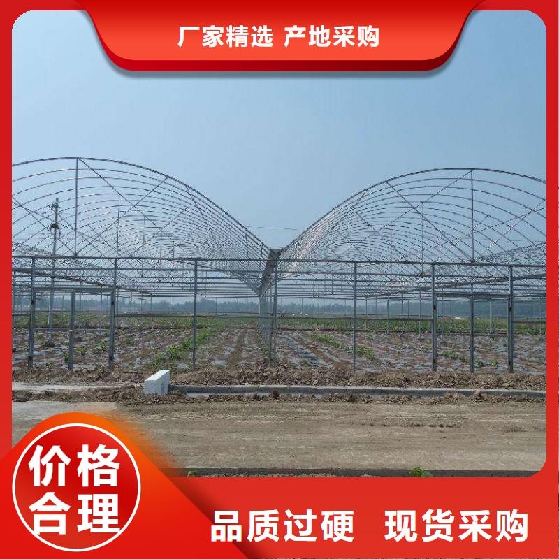 大棚管温室大棚管专注细节更放心